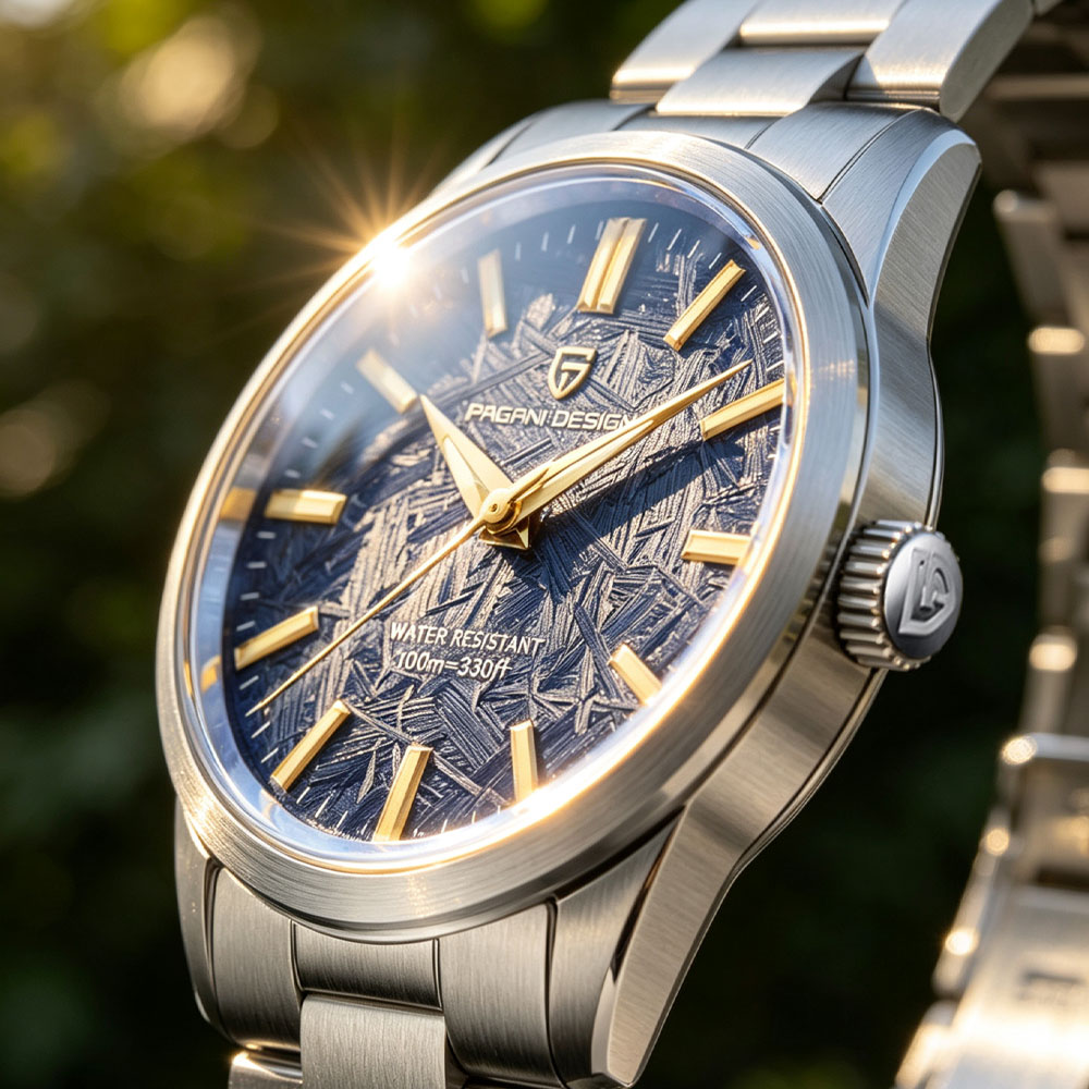 PAGANI DESIGN 40MM Men Quartz  - Luxury Watch Deals recension och pris
